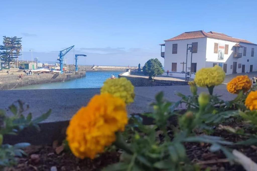 Centrico Y Encantador Estudio En Puerto De La Cruz Buitenkant foto
